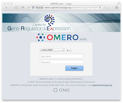 ../_images/customLogin.png